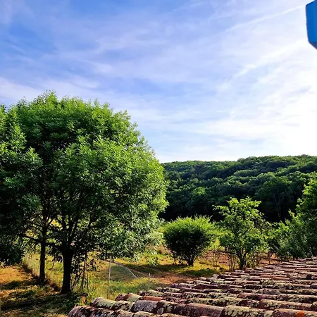 Au Coeur Des Bastides Et Vignobles Gaillacois Σπίτι διακοπών Saint-Beauzile