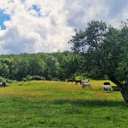 Σπίτι διακοπών Au Coeur Des Bastides Et Vignobles Gaillacois *