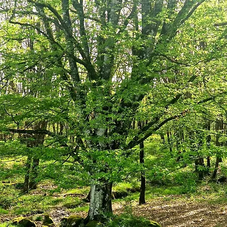 Σπίτι διακοπών Au Coeur Des Bastides Et Vignobles Gaillacois