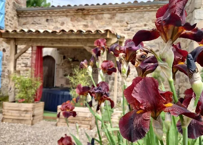 Au Coeur Des Bastides Et Vignobles Gaillacois بيت للعطل *