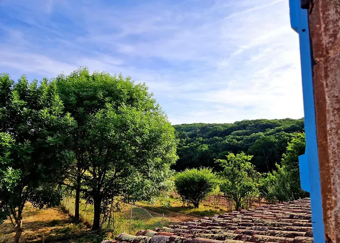 Au Coeur Des Bastides Et Vignobles Gaillacois بيت للعطل Saint-Beauzile