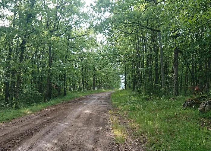 بيت للعطل Au Coeur Des Bastides Et Vignobles Gaillacois Saint-Beauzile