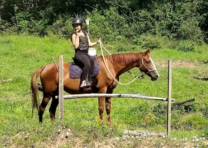 Au Coeur Des Bastides Et Vignobles Gaillacois * Saint-Beauzile